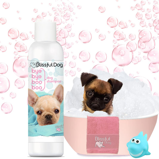 Dog Shampoo for Soothing Discomfort