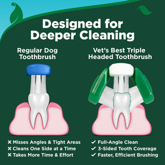 Dog Dental Care Kit – Toothpaste & Toothbrush