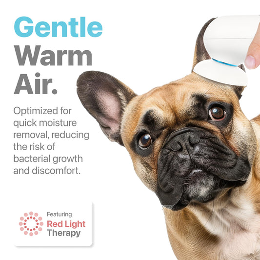 Pet Ear Care Kit – Ear Dryer & Moisture Relief