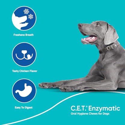 Enzymatic Oral Hygiene Chews – Plaque & Tartar Control