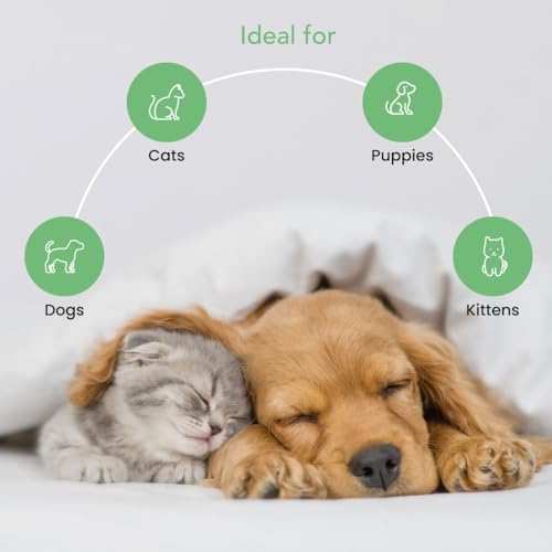 Pet Facial & Body Wash – Seasonal Spa Scent