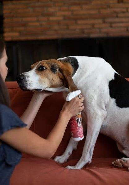Flea & Tick Pet Shampoo