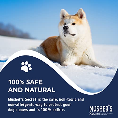 Dog Paw Wax – Protective & Moisturizing Balm