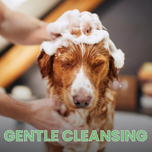 Pet Facial & Body Wash – Seasonal Spa Scent