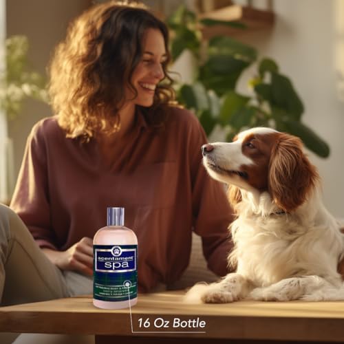 Pet Facial & Body Wash – Seasonal Spa Scent