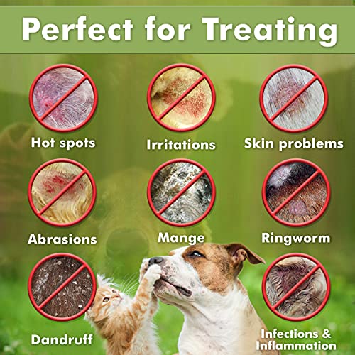 Medicated Dog Shampoo – Anti-Itch & Skin Care