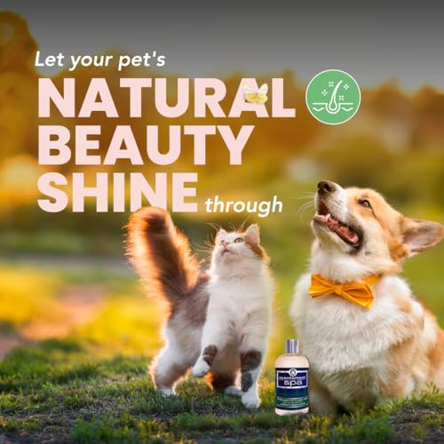 Pet Facial & Body Wash – Seasonal Spa Scent