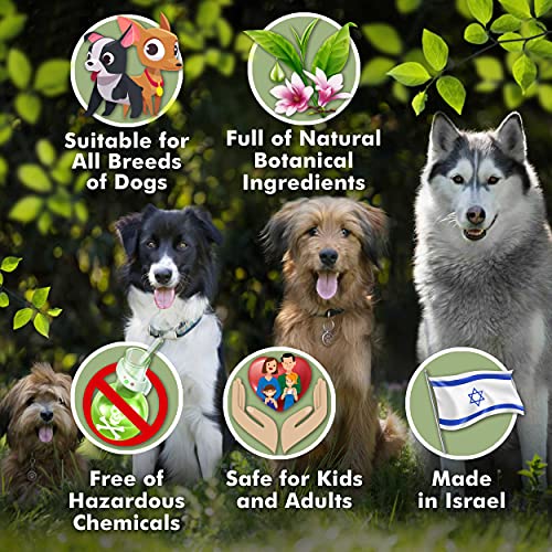 Medicated Dog Shampoo – Anti-Itch & Skin Care