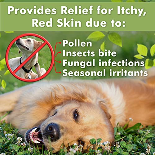 Medicated Dog Shampoo – Anti-Itch & Skin Care