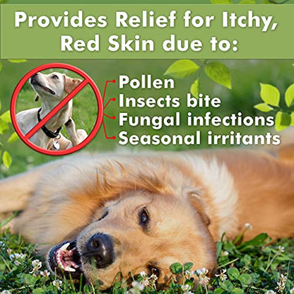 Medicated Dog Shampoo – Anti-Itch & Skin Care
