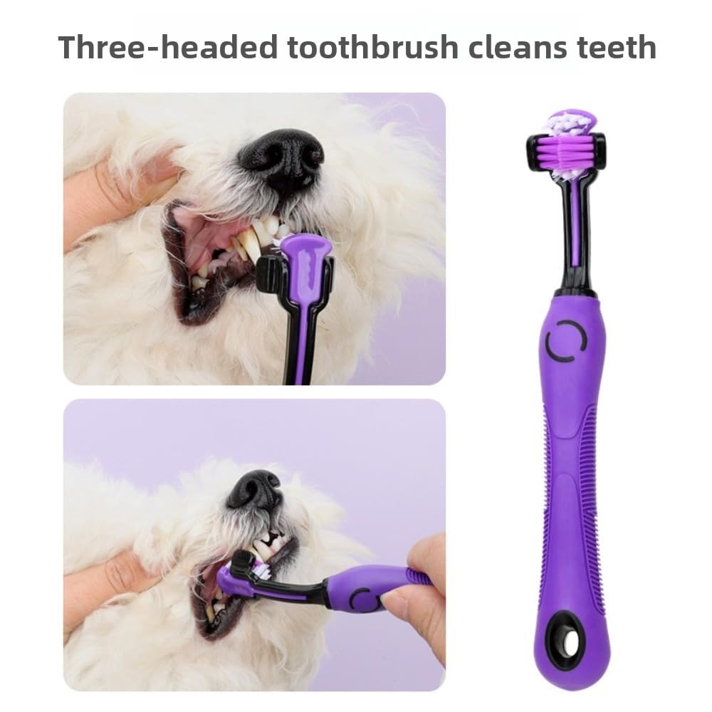 Pet Coat Care Kit – 9 Piece Grooming Set