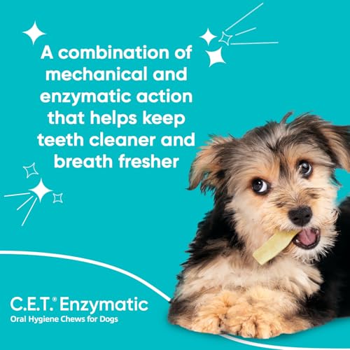 Enzymatic Oral Hygiene Chews – Plaque & Tartar Control