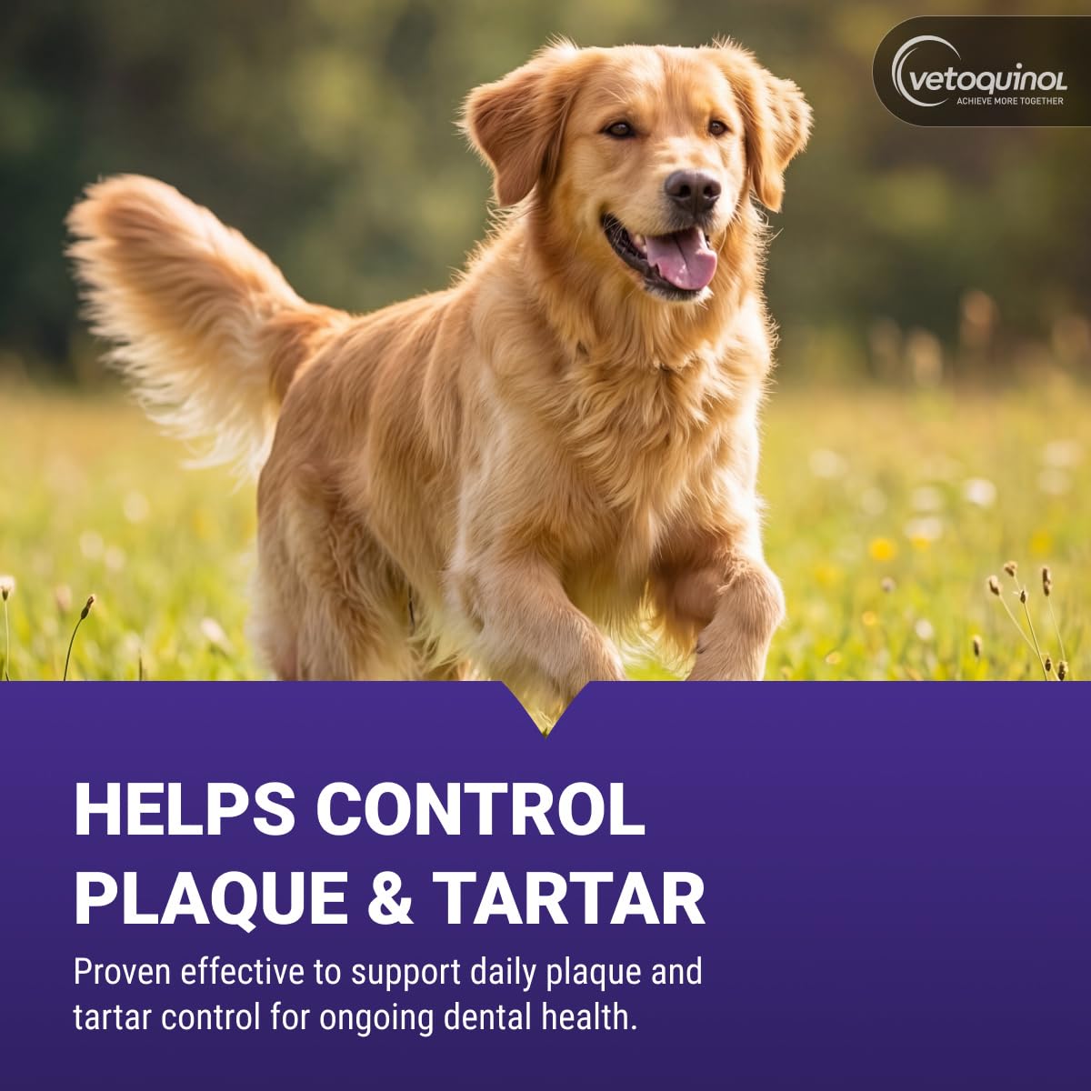Pet Oral Hygiene Rinse
