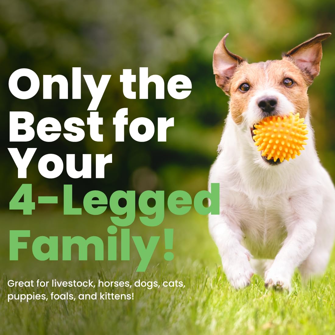 Deodorizing Pet Conditioner – Hydrating & Moisturizing Care