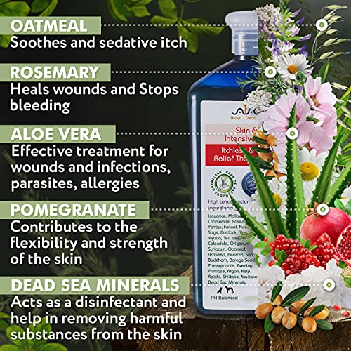 Medicated Dog Shampoo – Anti-Itch & Skin Care