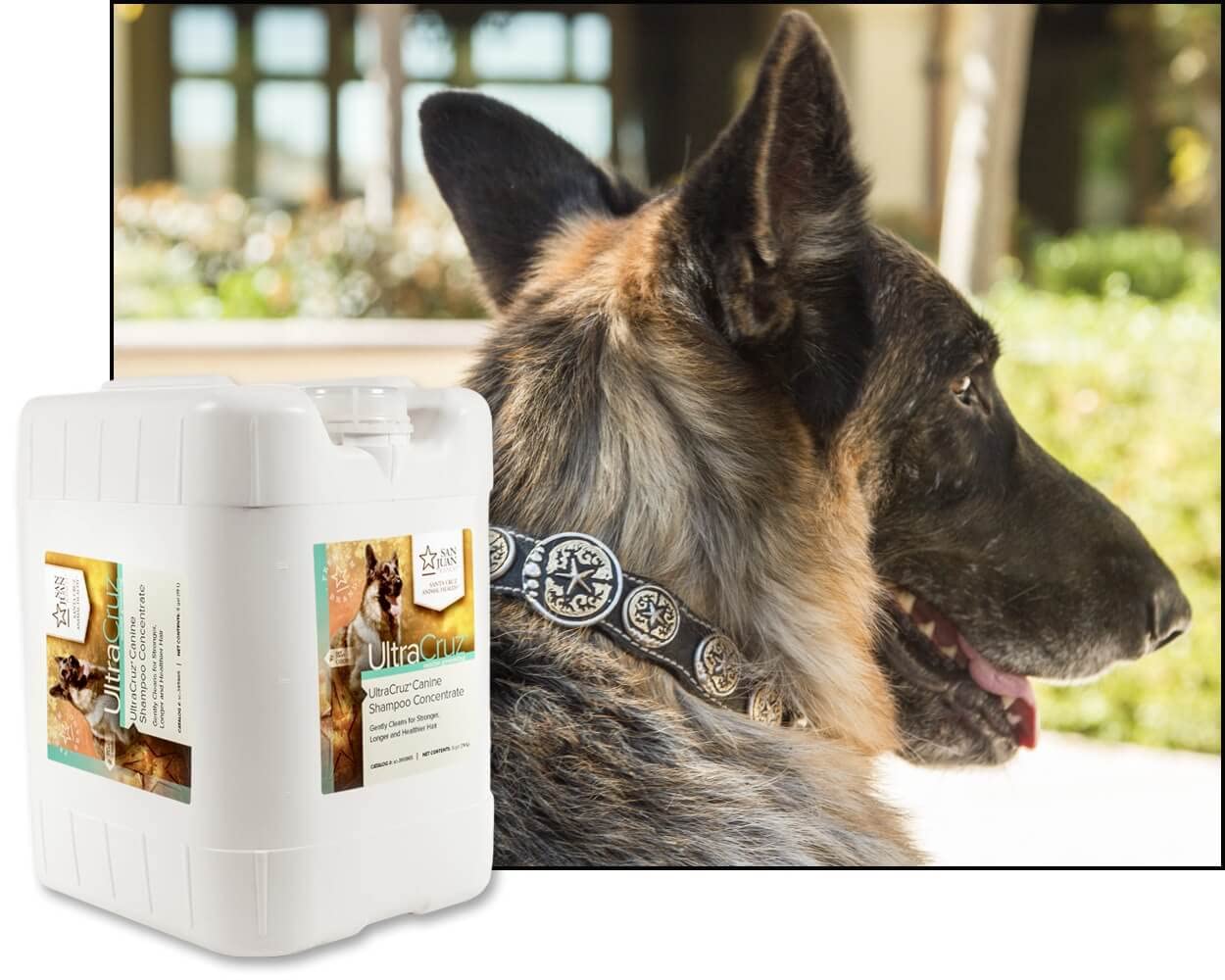 Canine Shampoo Concentrate – 5 Gallons