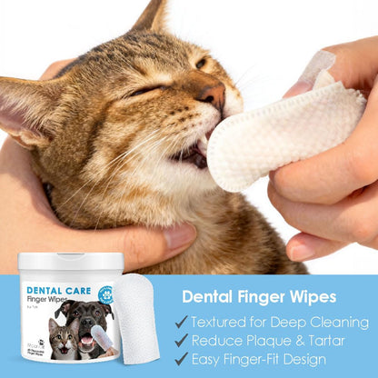 Waterless Cat Shampoo Foam – Sensitive Skin Care