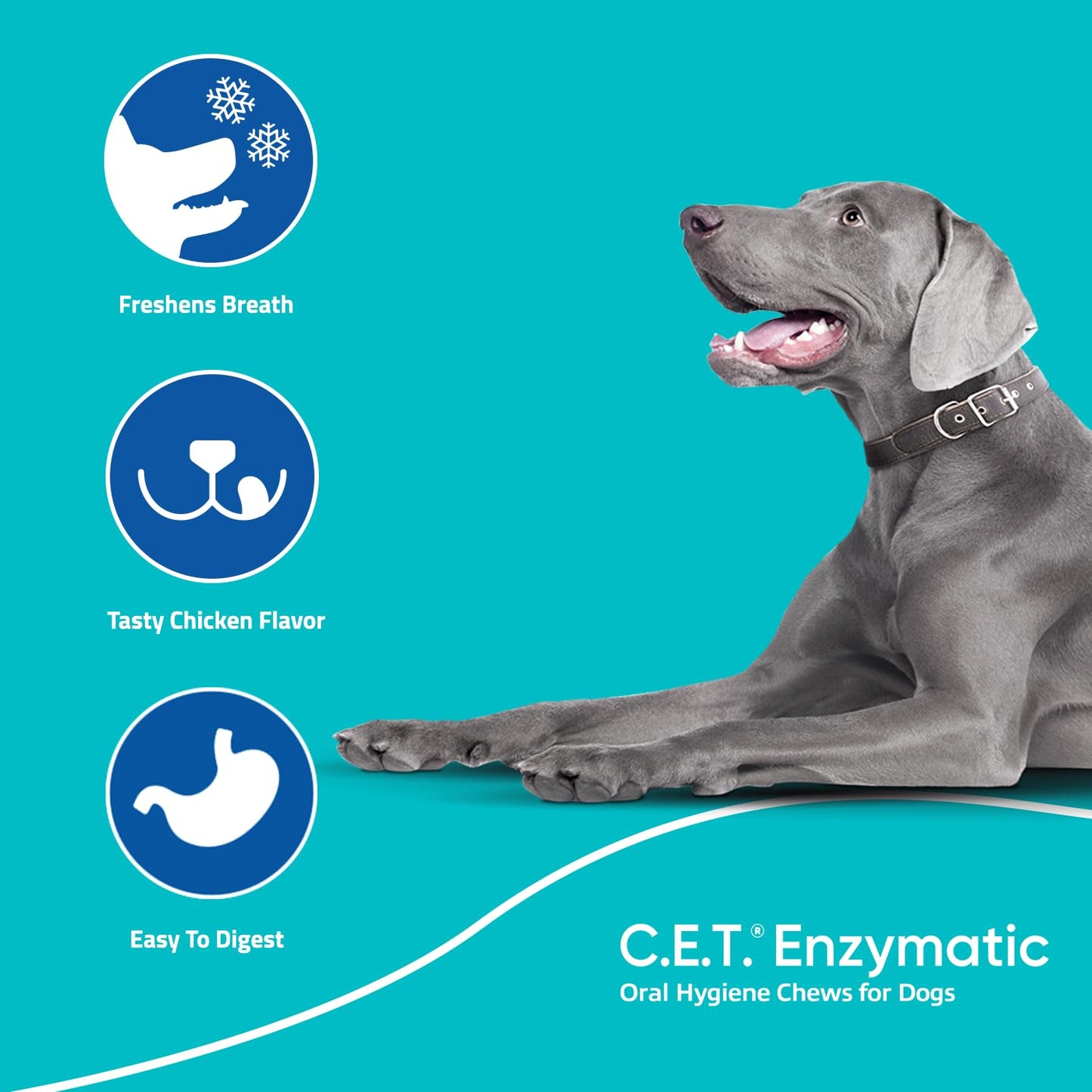 Enzymatic Dental Chews – Plaque & Tartar Control for Dogs