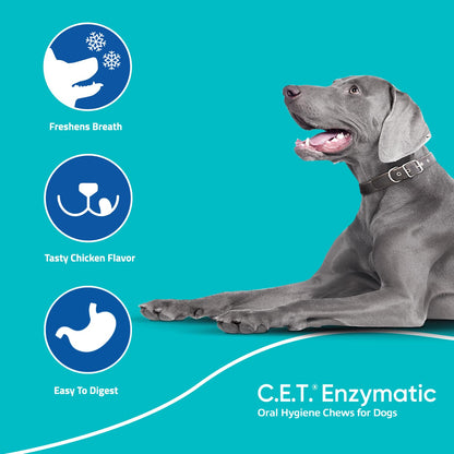 Enzymatic Dental Chews – Plaque & Tartar Control for Dogs