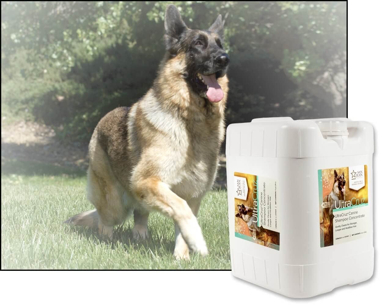Canine Shampoo Concentrate – 5 Gallons