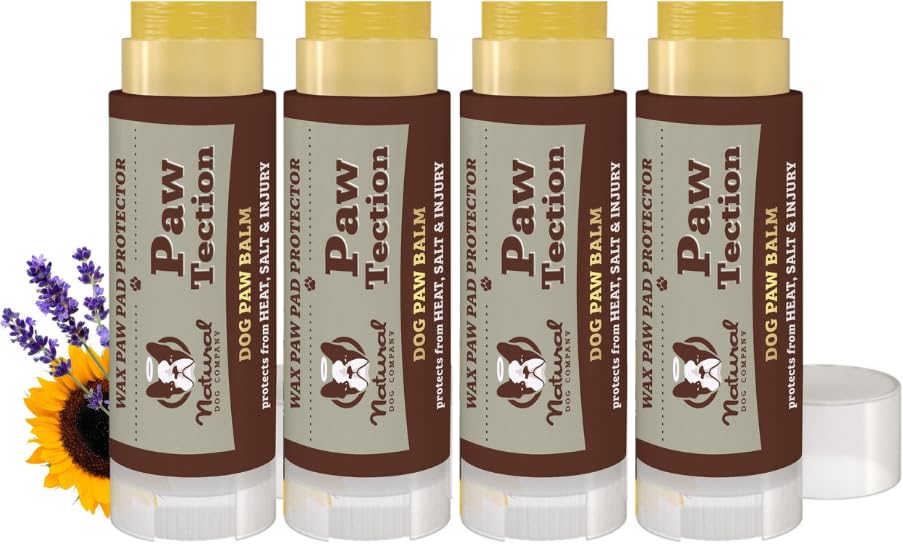 PawTection Balm Stick – Protective & Nourishing Paw Care
