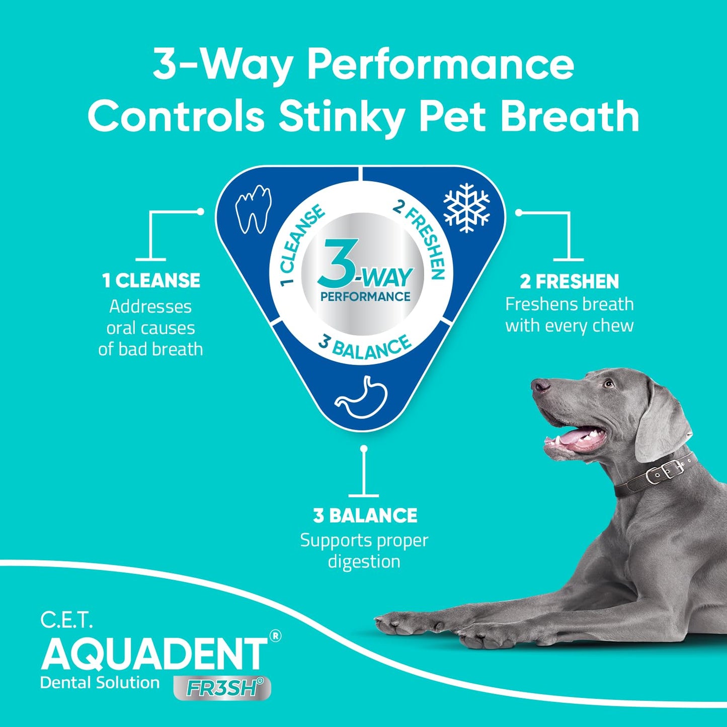 Pet Dental Solution