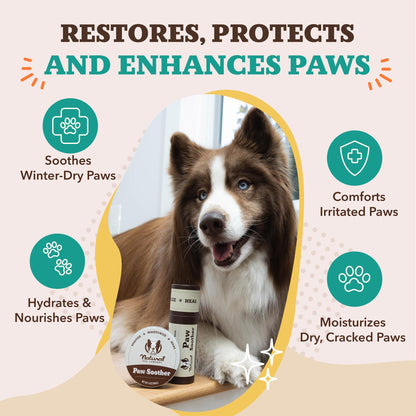 Paw Care Balm Bundle – Soothing & Protective Paw Pads