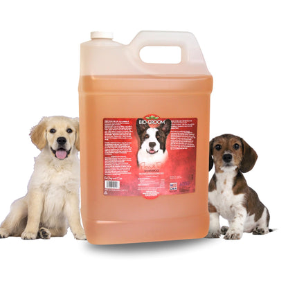 Flea & Tick Pet Shampoo