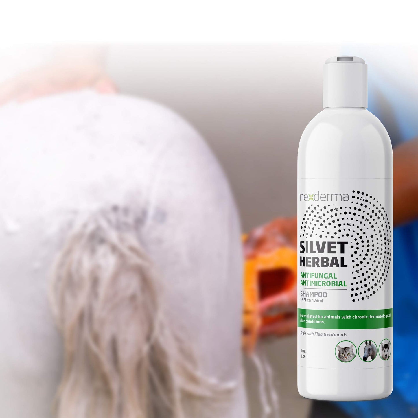 Natural Medicated Pet Shampoo – Sensitive Skin Relief