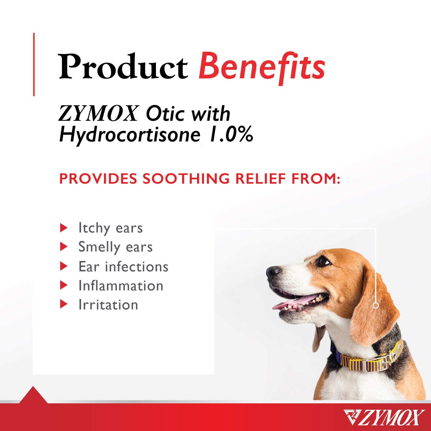 Enzymatic Ear Solution – Itch Relief Care