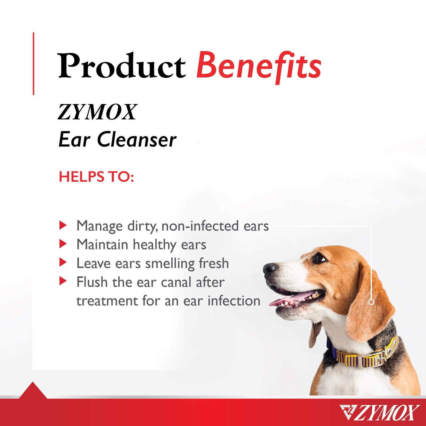 Pet Ear Cleanser Solution