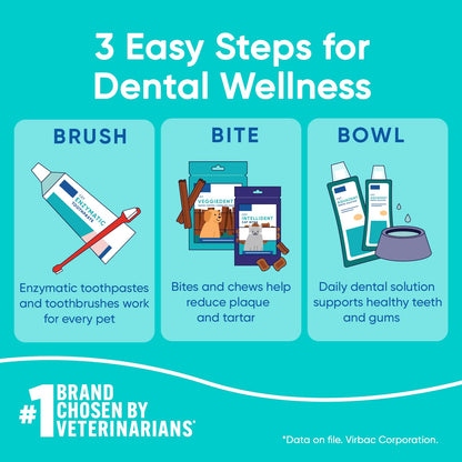 Pet Dental Solution