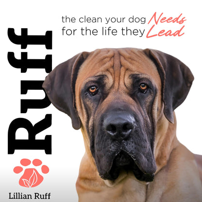 Waterless Dog Shampoo Spray – Sandalwood Amber