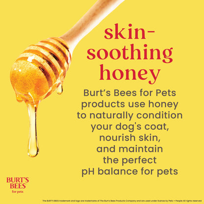 Waterless Dog Shampoo Spray – Apple & Honey