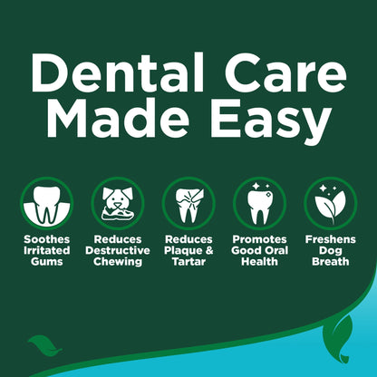Dog Dental Care Kit – Toothpaste & Toothbrush