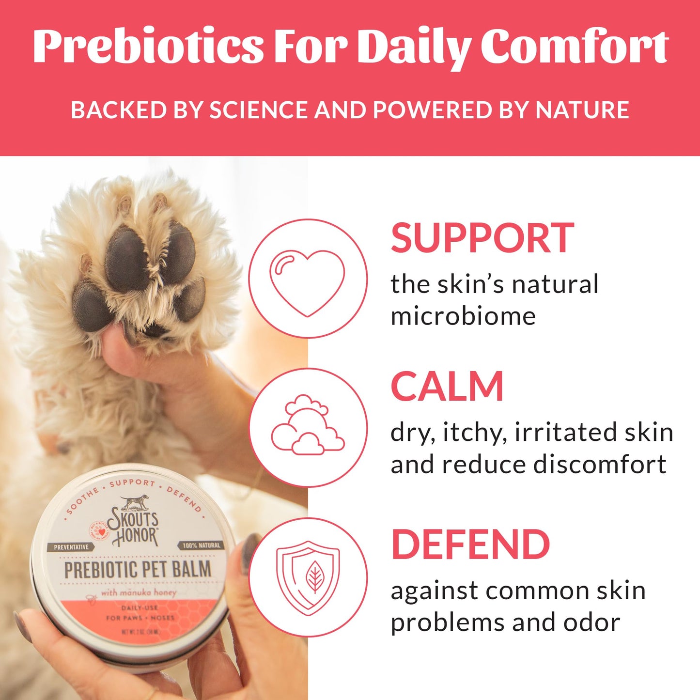 Prebiotic Paw & Nose Balm – Natural Skin Care