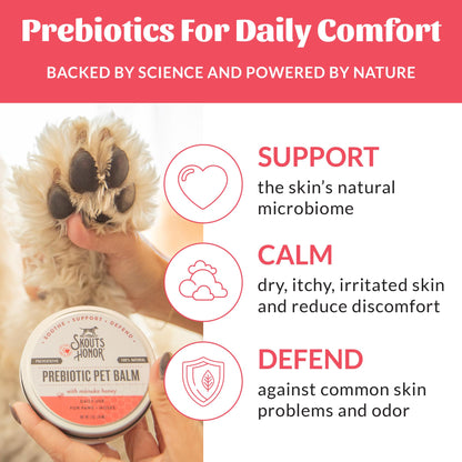 Prebiotic Paw & Nose Balm – Natural Skin Care