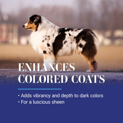 Whitening Dog Shampoo Treatment