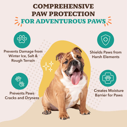 Paw Care Balm Bundle – Soothing & Protective Paw Pads