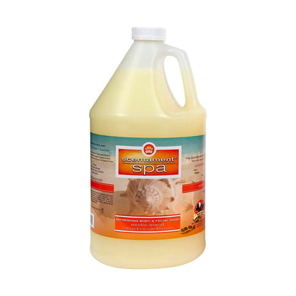 Pet Facial & Body Wash – Seasonal Spa Scent