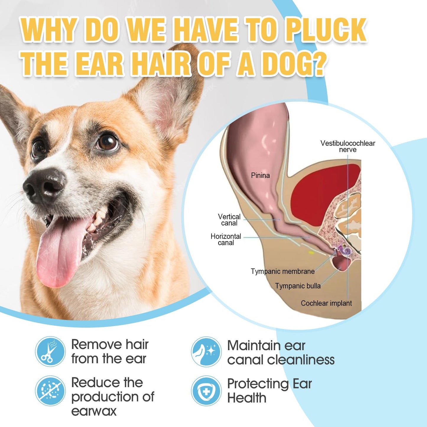 Dog Ear Hair Removal Kit – Ear Powder & Tweezers