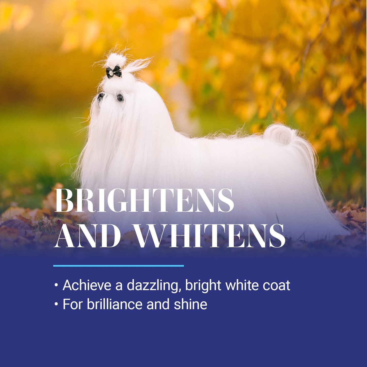 Whitening Dog Shampoo Treatment