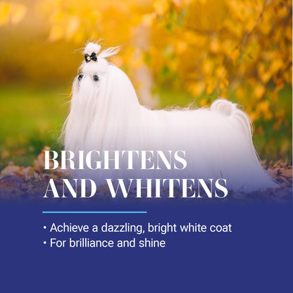 Whitening Dog Shampoo Treatment