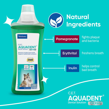 Pet Dental Solution