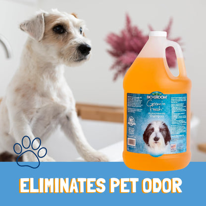 Bio-Groom Groom'n Fresh Dog Shampoo