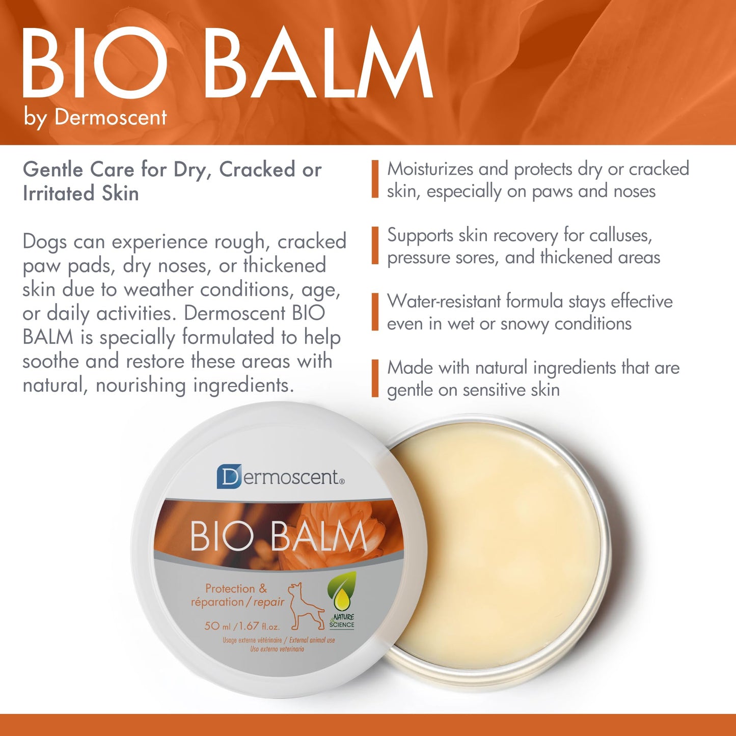 Natural Paw Balm – Moisturizing & Protective Care