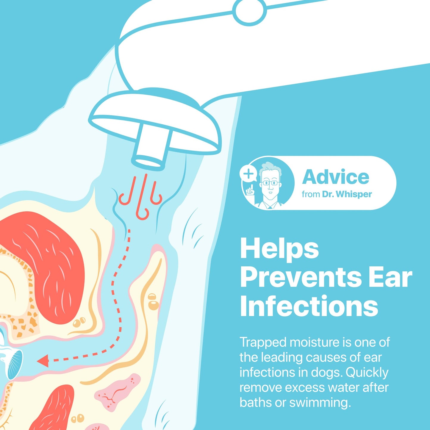 Pet Ear Care Kit – Ear Dryer & Moisture Relief