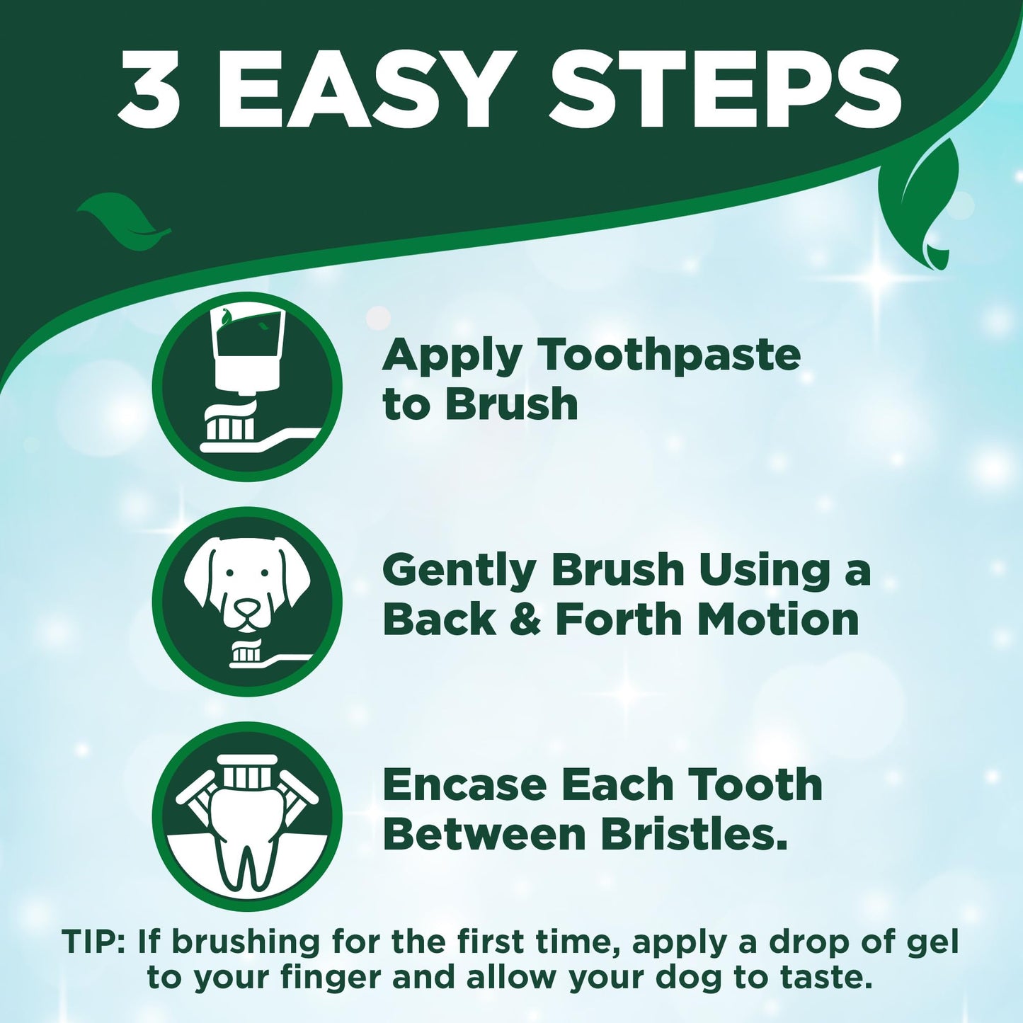 Dog Dental Care Kit – Toothpaste & Toothbrush