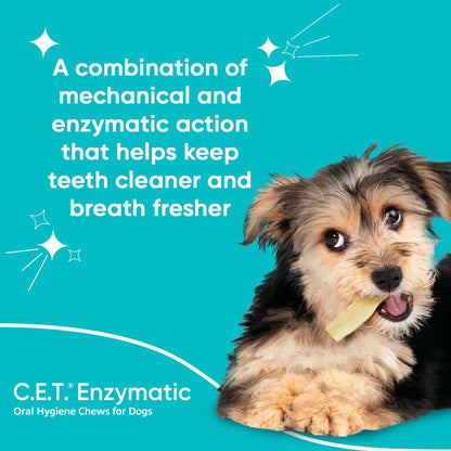 Enzymatic Dental Chews – Plaque & Tartar Control for Dogs