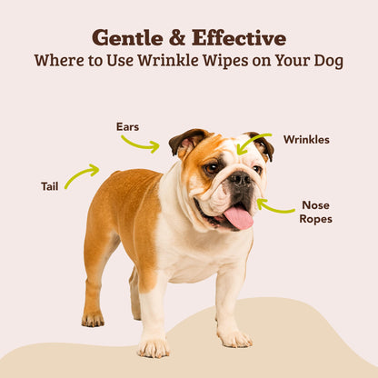 Wrinkle Care Balm & Wipes Set